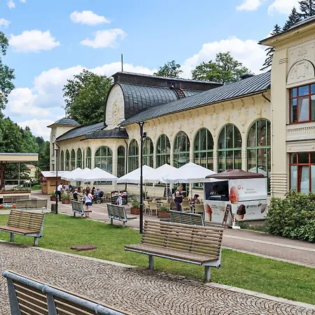Apartmán Jansky Potok I-3 By Interhome Janské Lázně